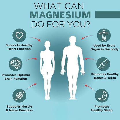 OmniBiotics Ultimate Daily Multivitamin + Magnesium Glycinate + Ashwagandha Root Supplement