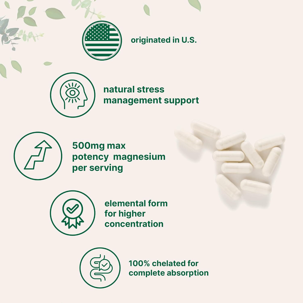 Micro Ingredients Magnesium Glycinate 500mg Per Serving, 240 Capsules - Potent Elemental Form, Chelated, High Absorption - Healthy Muscle, Bones, & Mood Support Supplement - Non-GMO