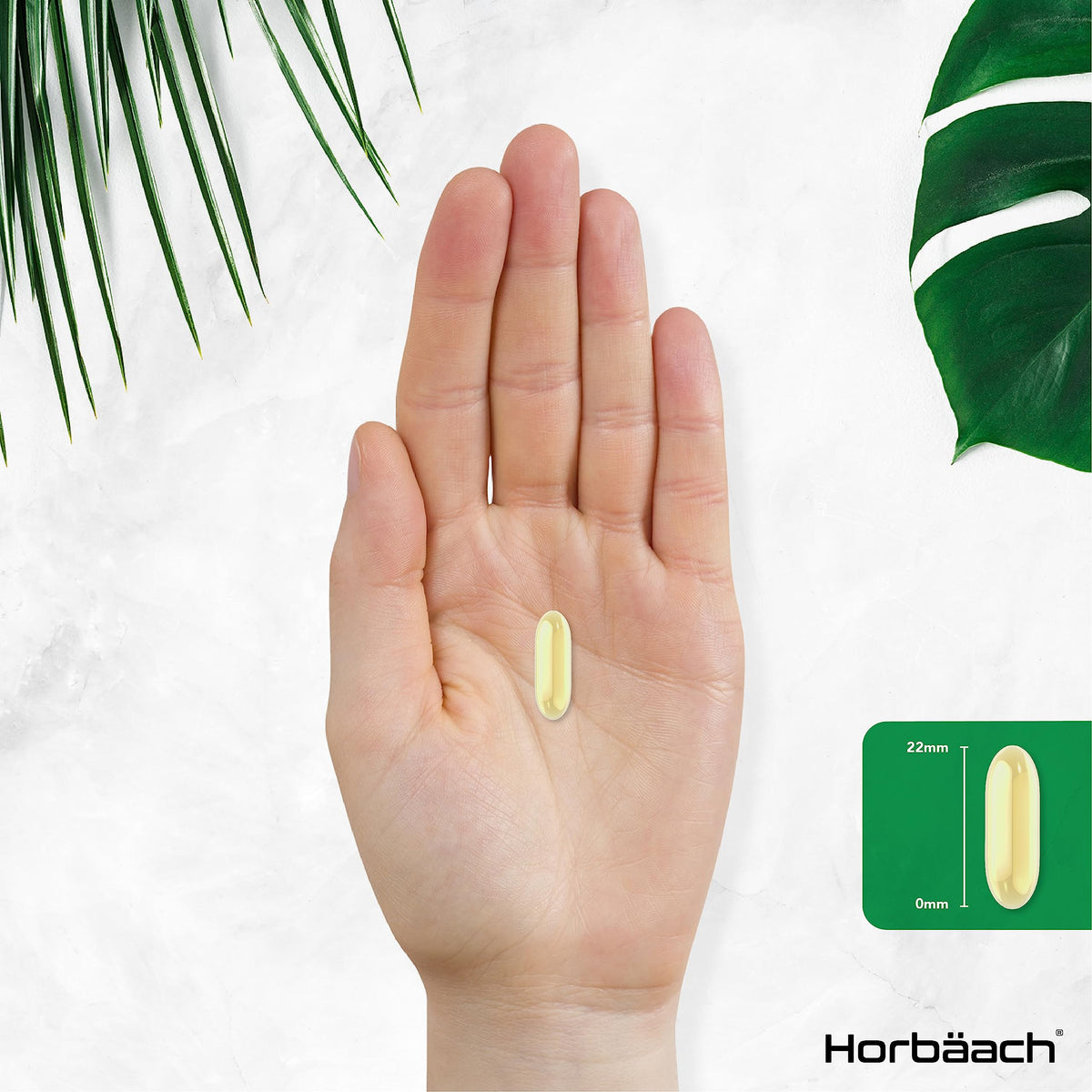 Vitamin E Capsules 1000iu - 200 Count - High Strength Vitamin E as DL-Alpha Tocopheryl