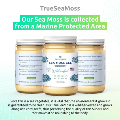 TrueSeaMoss Wildcrafted Irish Sea Moss Gel - Nutritious Raw Seamoss Rich in Minerals