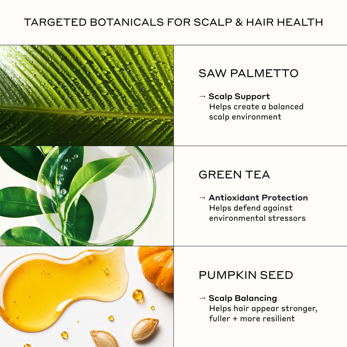 ZENAGEN Densifying Hair Serum for Fine + Thinning Hair - Boosts Hair Density, Strengthens & Nourishes Hair Follicles, Non-Greasy Water-Based Formula, Plant-Based, Vegan, All Hair Types, 1 oz