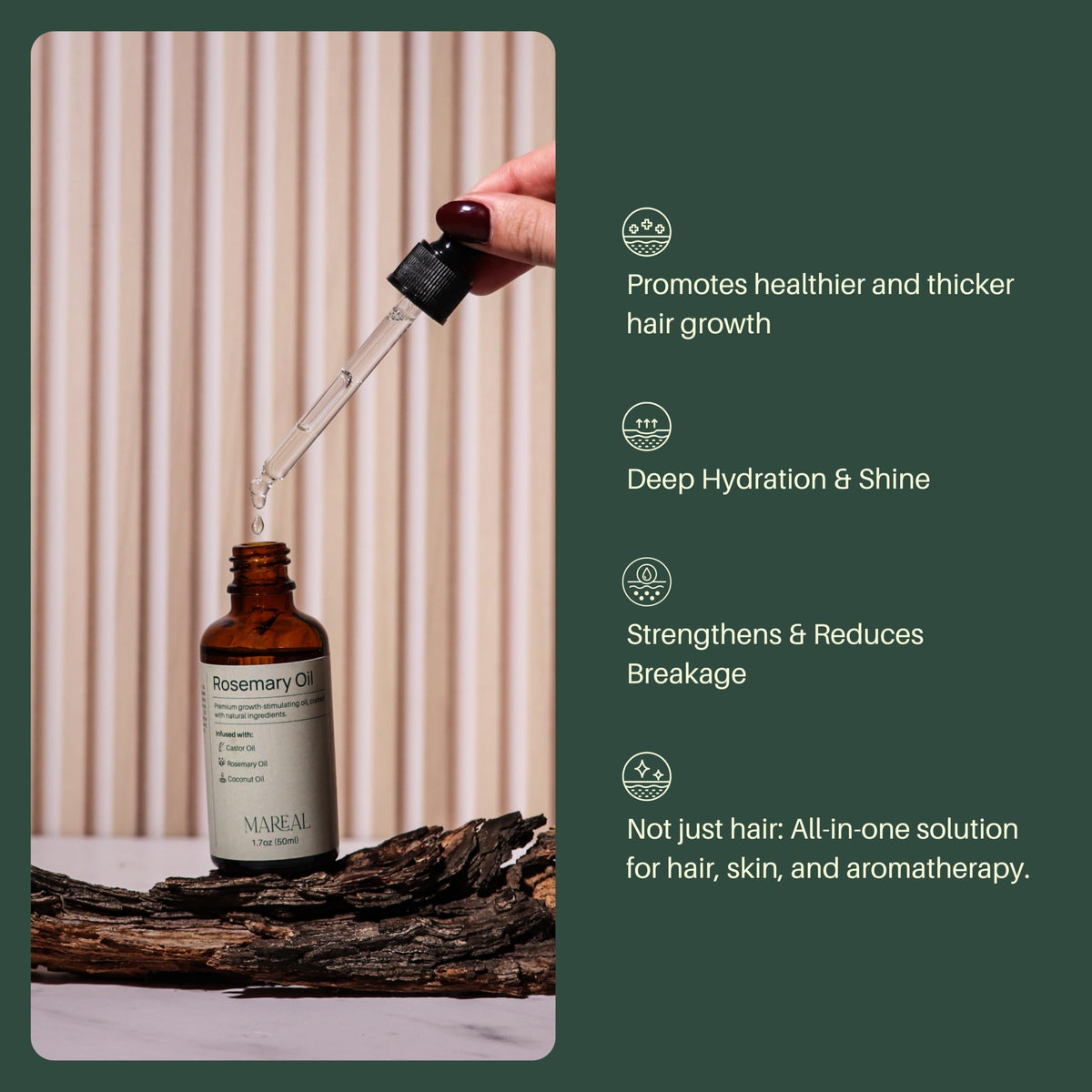 MAREAL Pure Rosemary Oil for Hair Growth & Scalp Health - Infused with Castor & Coconut Oil - Hair Thickening & Regrowth Treatment for Women & Men - 100% Natural - Up to 2-Month Supply - 1.7 fl oz