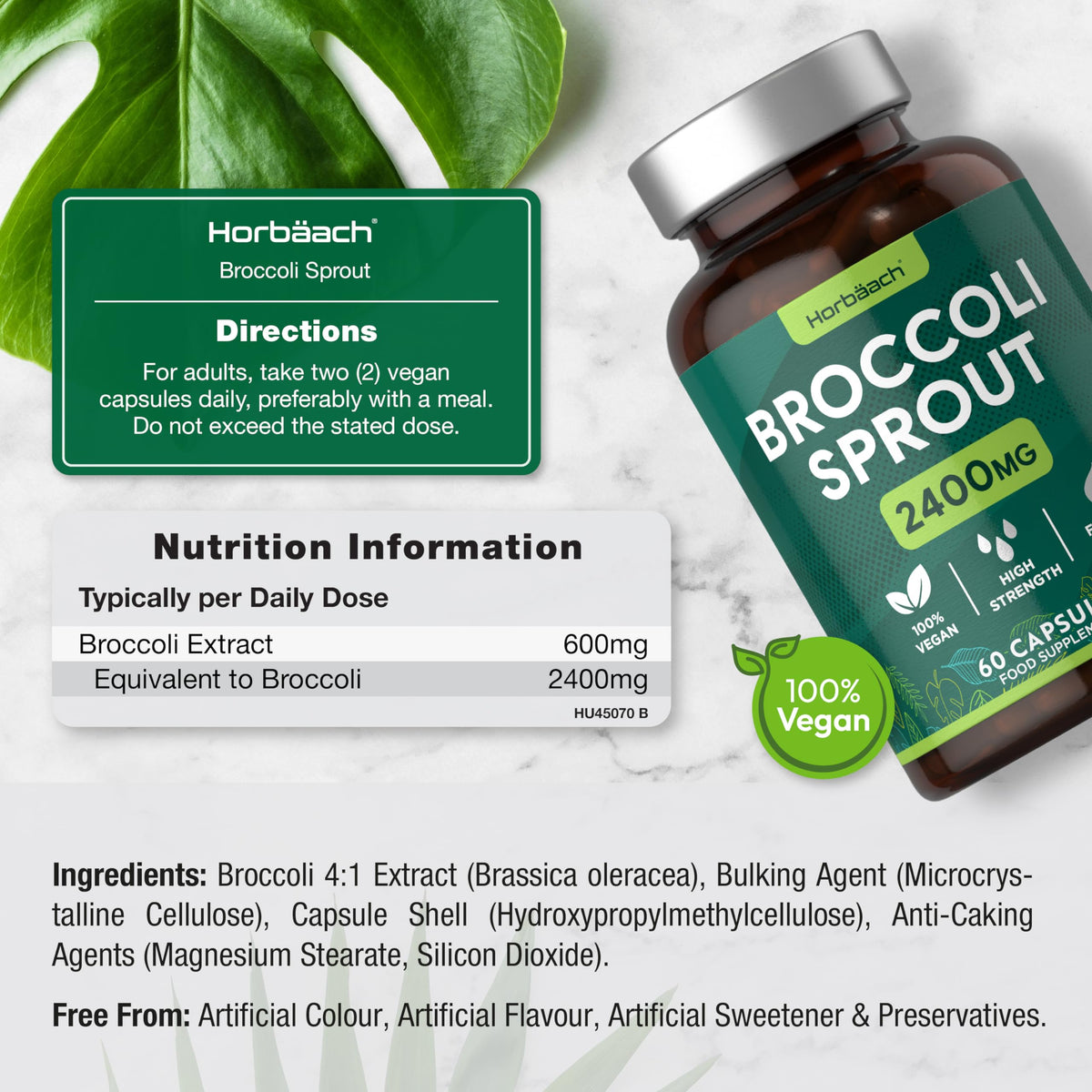Broccoli Sprout Extract - Activated Sulforaphane Supplement - 2400mg Capsules - 60 Ct