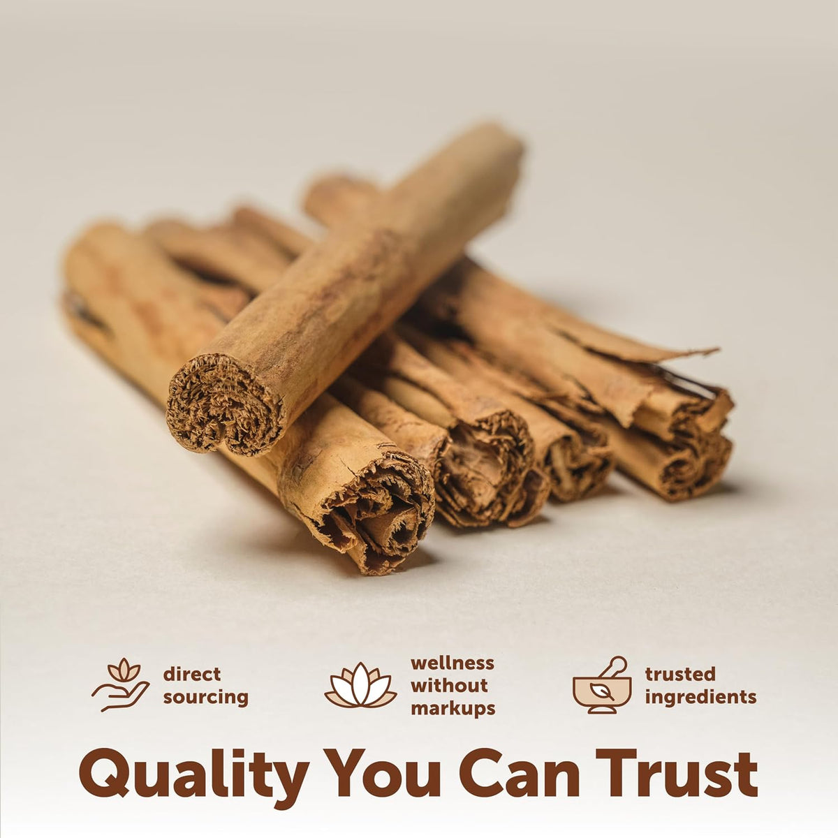 Micro Ingredients Ceylon Cinnamon, 300 Softgels - Cinnamon Supplements with MCT Oil - Non-GMO, Gluten Free - True Ceylon Cinnamon Supplements for Men & Women. Energy & Antioxidant Support*. Non-GMO, Gluten Free