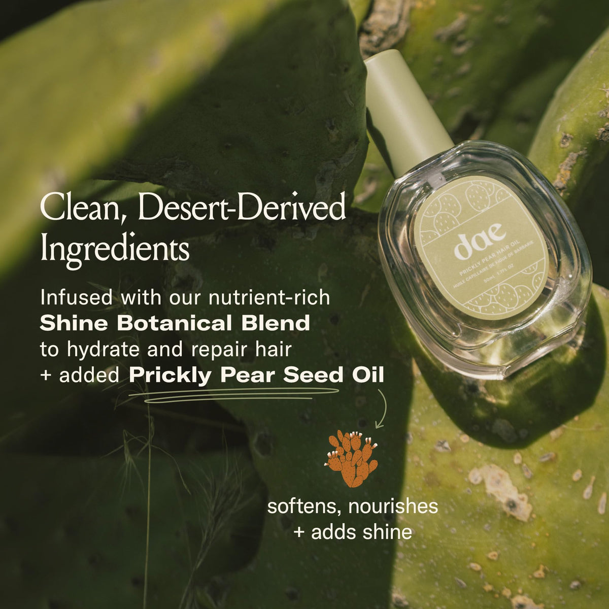 DAE Prickly Pear Hair Oil - 1.7 oz