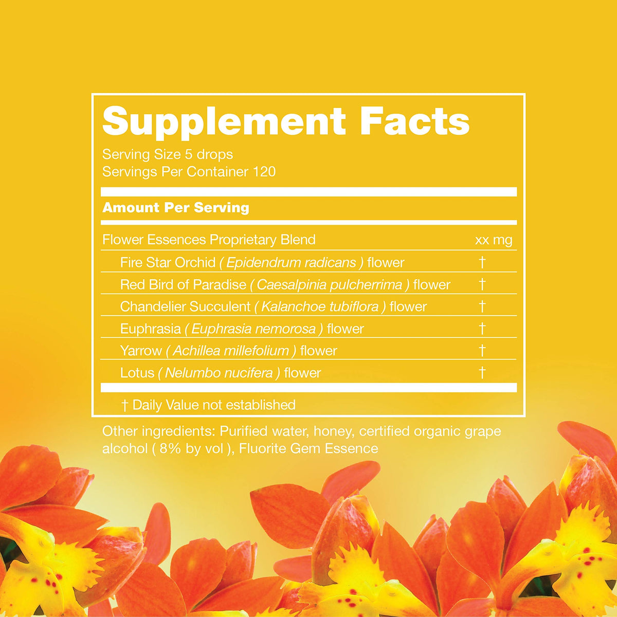 LOTUSWEI Inspired Action Flower Essence Elixir - Enhance Focus, Concentration, Mental Clarity & Creativity - Flower Remedy Supplement