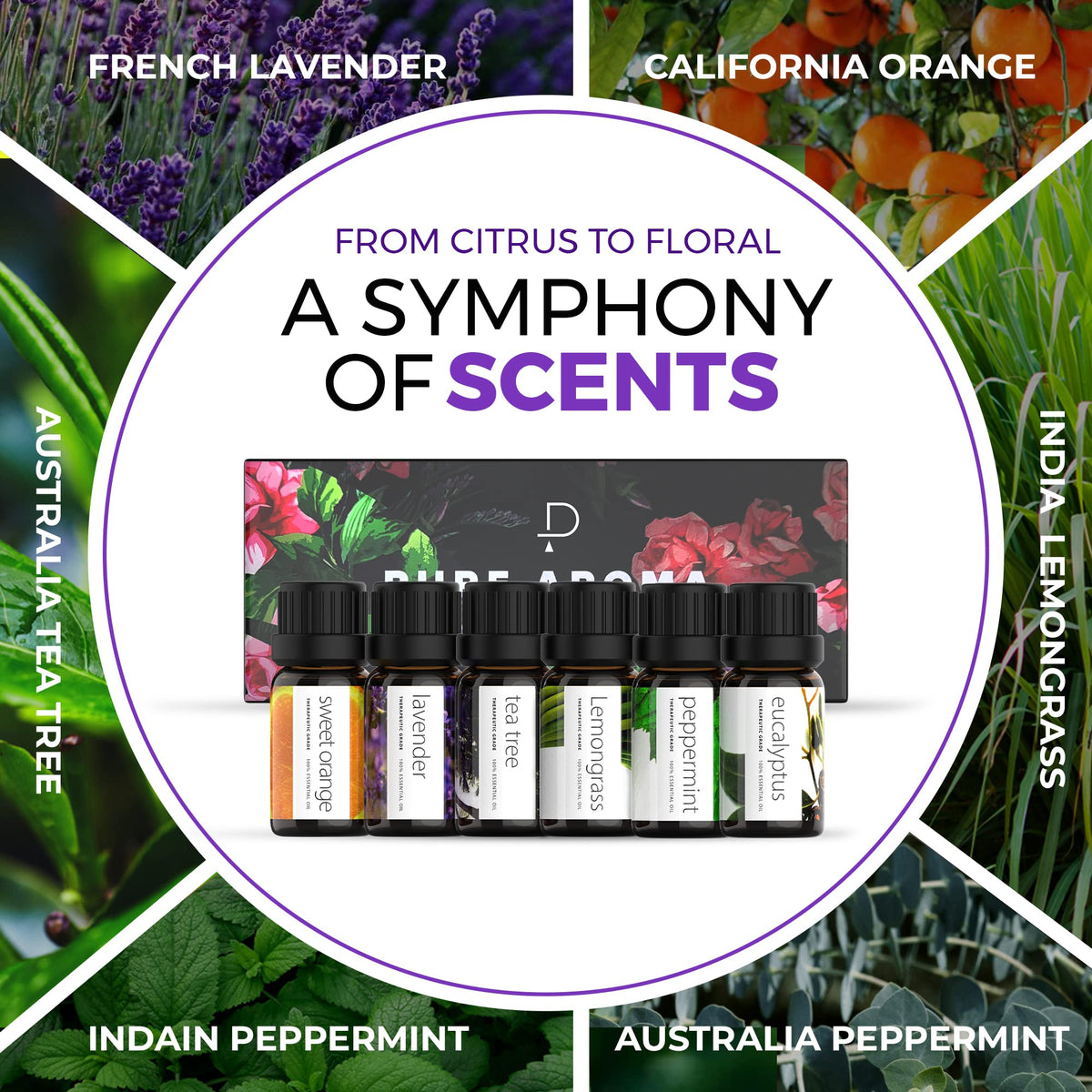 Essential Oils by PURE AROMA 100% Pure Oils kit- Top 6 Aromatherapy Oils Gift Set-6 Pack, 10ML