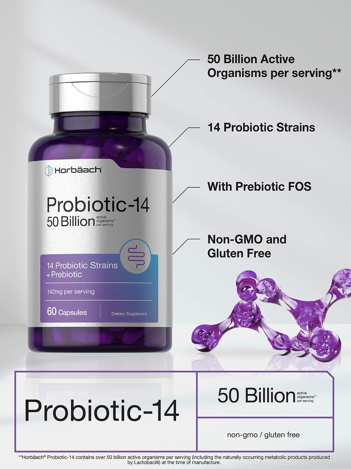 Horbäach Probiotics with Prebiotics - 60 Capsules - 50 Billion Active Organisms - Non-GMO
