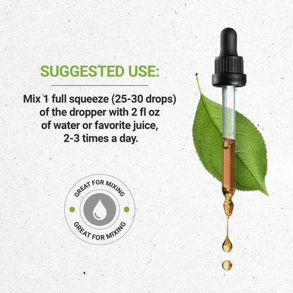 Secrets of the Tribe Mistletoe Tincture Alcohol-Free Liquid Extract, Mistletoe