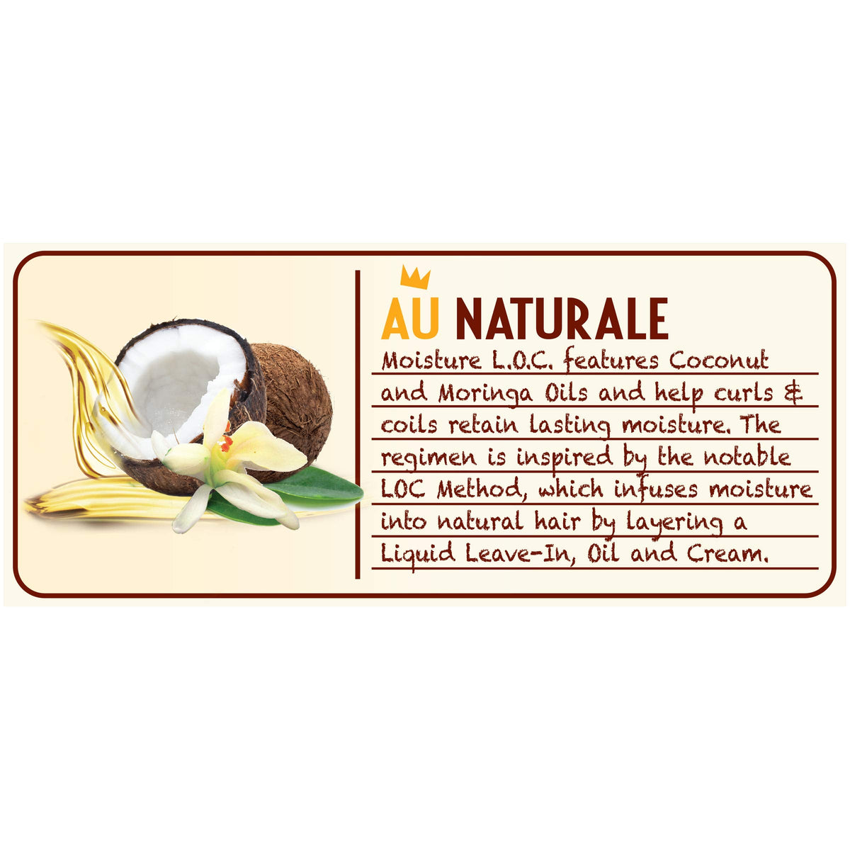 SoftSheen-Carson Dark and Lovely Au Naturale Moisture L.O.C., 8.5 Fl oz