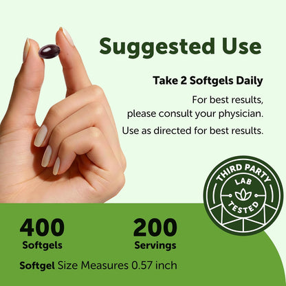 Micro Ingredients Ginkgo Biloba 120 mg Per Serving, 400 Softgels - 3-in-1 with Panax Ginseng & Lion’s Mane - Herbal Mushroom Blend - Made with MCT Oil - Non-GMO