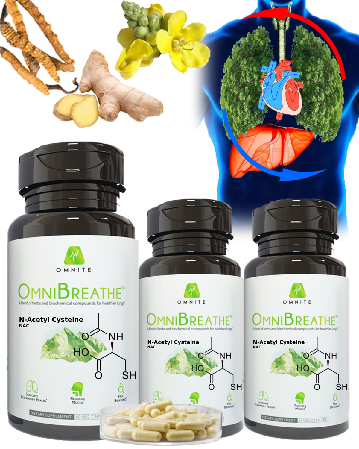 OmniBreathe for Lung Cleanse Detox Respiratory Wellness - Help Reduce Mucus & Cough for All Kinds