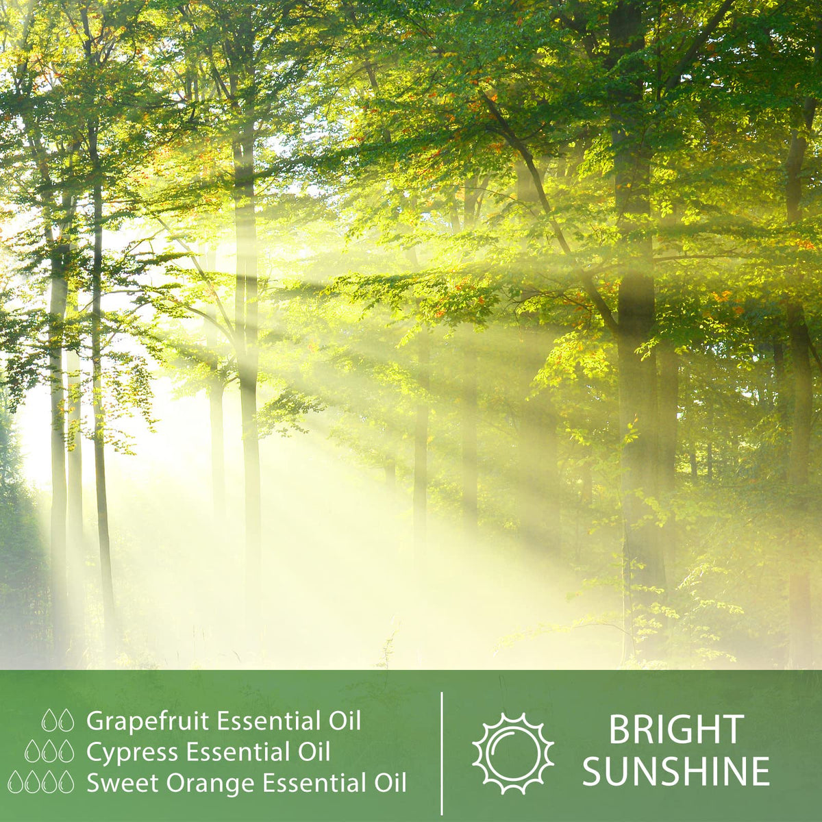 Cypress 3.38fl.oz Essential Oil, PHATOIL Aromatherapy Essential Oils for Diffuser, Humidifier