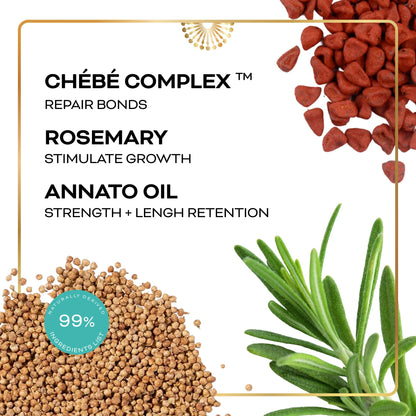 Chéribé Hair Growth Oil & Scalp - 100% Chebe Complex + Rosemary & Annatto to Nourish Roots, Soothe Dry Scalp, Boost Growth, Repair - Hair Oils for Textures 2A-4C - Porosities, Sulfate Free - 2.5 fl oz