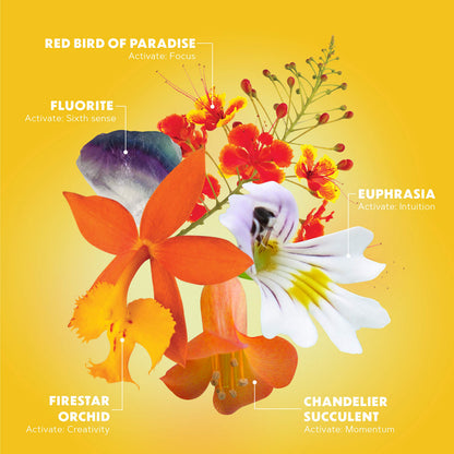 LOTUSWEI Inspired Action Flower Essence Elixir - Enhance Focus, Concentration, Mental Clarity & Creativity - Flower Remedy Supplement