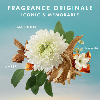 Moroccanoil Treatment Hair Oil & Hand Wash Gift Set