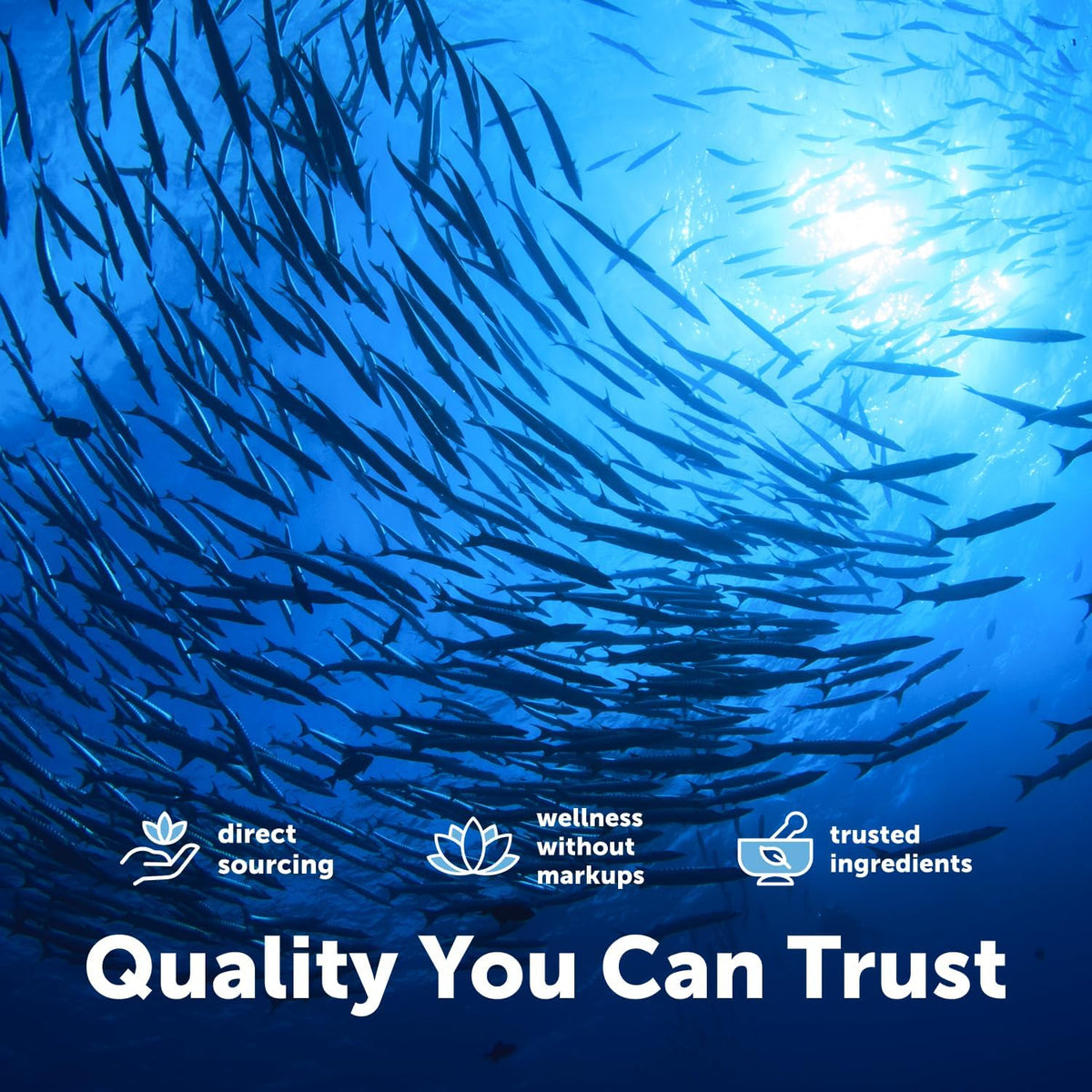 Micro Ingredients Extra Strength* Omega-3 Fish Oil Supplements 1,000mg Per Serving, 300 Softgels - Lemon Flavored - Burpless - EPA 180mg + DHA 120mg - Deep Sea Fish