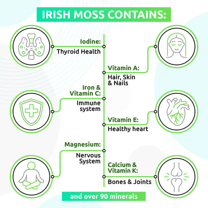 TrueSeaMoss Wildcrafted Irish Sea Moss Gel - Nutritious Raw Seamoss Rich in Minerals