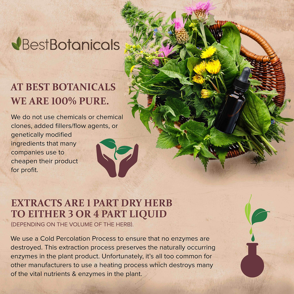 Best Botanicals Chaste Tree Berry Extract 1 oz.