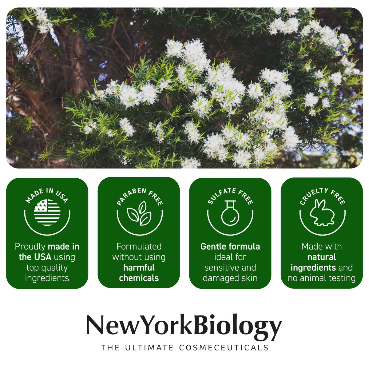 New York Biology Tea Tree Oil Foot Cream for Dry Cracked Feet, Athletes Foot, Nail Fungus