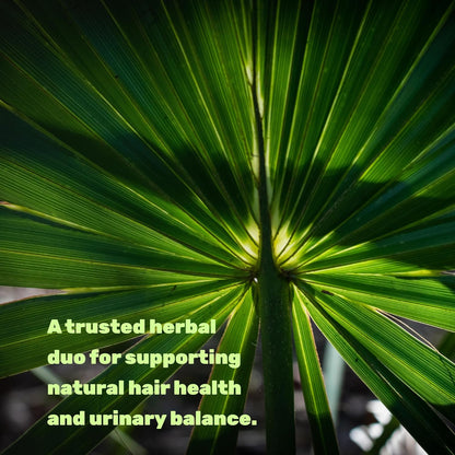 Saw Palmetto Supplement with Pumpkin Seed, 300 Capsules - Promotes Prostate Health - DHT Blocker - Hair Growth Vitamins, Maintain Normal Urinary Frequency
